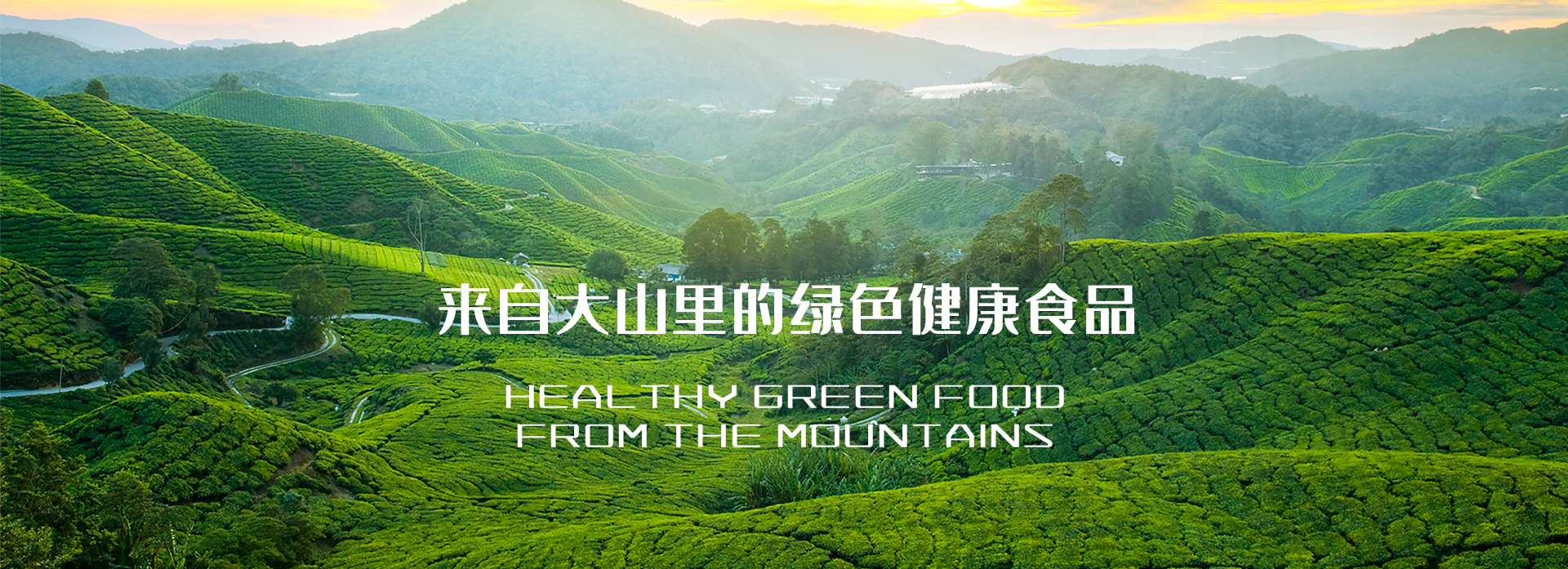 神農(nóng)集團(tuán),神農(nóng)本草,神農(nóng)本草農(nóng)業(yè)集團(tuán)