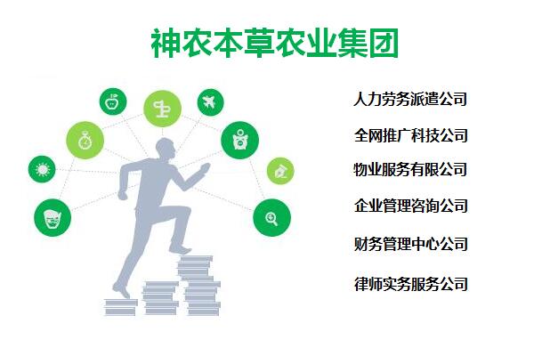 嘉興加盟古玩代理