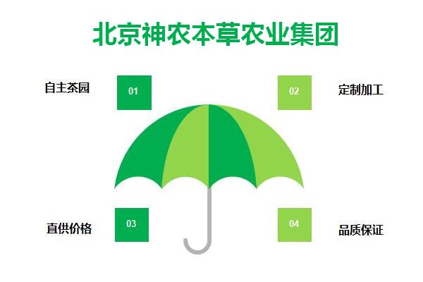 嘉興加盟古玩代理