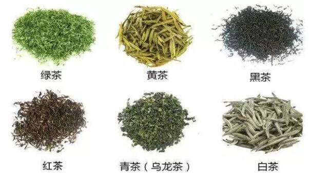 茶葉保存,茶葉種類,黑茶,花茶