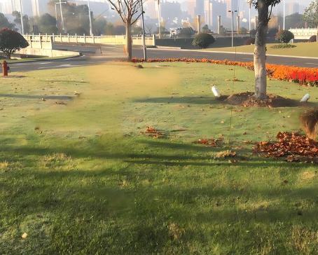 北京什么本草農(nóng)業(yè)集團(tuán)